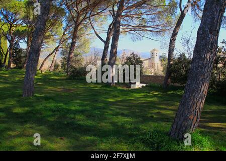 Die Kirche Saint-André-et-Saint-Trophime in Lourmarin an einem sonnigen Wintermorgen durch Kiefern gesehen (Luberon, Vaucluse, Frankreich) Stockfoto