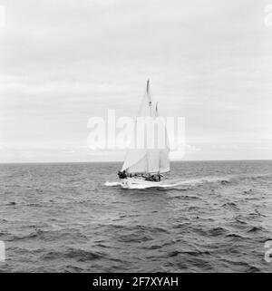 Das Segelschulschiff für anstehende Marineoffiziere am Royal Institute for the Marine (KIM): Hr. Urania (Y 8050) (H 31) (1938-2004). Ein ausführlicher Reisebericht kann auf Seite 52 in der Jaarboek Koninklijke Marine 1964 unter der Überschrift praktische Zeit gelesen werden. Stockfoto