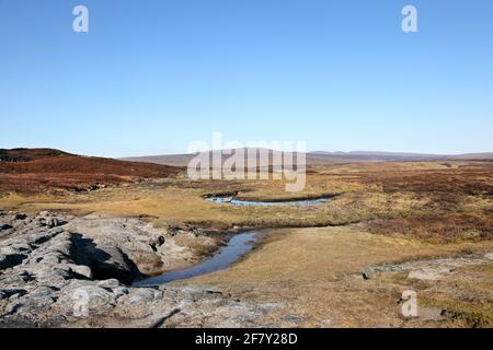 White Well Spring, der aus einem Sugar-Kalksteinausbiss auf Cronkley Fell, Upper Teesdale, County Durham, Großbritannien, erscheint Stockfoto