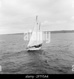 Das Segelschulschiff für anstehende Marineoffiziere am Royal Institute for the Marine (KIM): Hr. Urania (Y 8050) (H 31) (1938-2004). Ein ausführlicher Reisebericht kann auf Seite 52 in der Jaarboek Koninklijke Marine 1964 unter der Überschrift praktische Zeit gelesen werden. Stockfoto