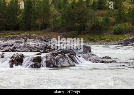Eine Nahaufnahme eines schnell fließenden Gebirgsflusses Katun mit einem großen Felsen in der Mitte ist ein gefährliches Hindernis auf dem Weg der Rafting-Rafter. Natur und w Stockfoto