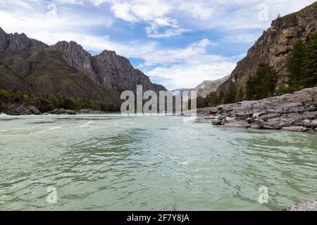 Das Ufer des Flusses Katun mit Wasser mit türkisfarbenem Ton und einem Sandstrand, felsige Küste vor dem Hintergrund der Berge mit grünen f bedeckt Stockfoto