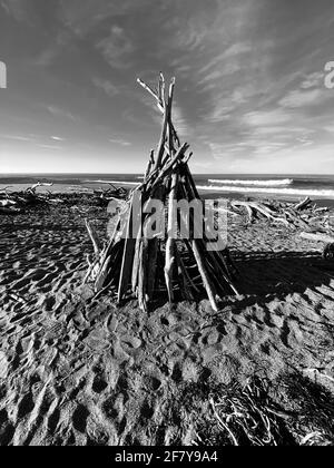 Drift Wood Art Installation on the Beach in, Cambria California Abstract, California Central Coast. Foto von Jennifer Graylock-Graylock.com Stockfoto