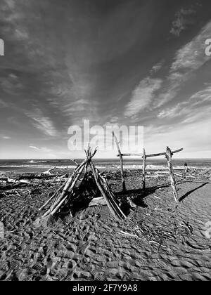 Drift Wood Art Installation on the Beach in, Cambria California Abstract, California Central Coast. Foto von Jennifer Graylock-Graylock.com Stockfoto