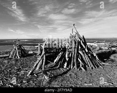 Drift Wood Art Installation on the Beach in, Cambria California Abstract, California Central Coast. Foto von Jennifer Graylock-Graylock.com Stockfoto