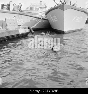 Duikers und Kikvorsmen Demonstrationen im Tauchzentrum der Royal Navy in Den Oever. Stockfoto