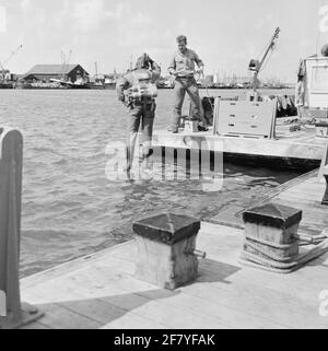 Duikers und Kikvorsmen Demonstrationen im Tauchzentrum der Royal Navy in Den Oever. Stockfoto