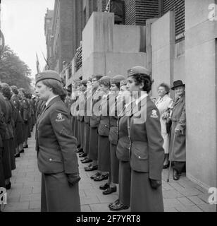 Bei der Eröffnung der Generalstaaten am dritten Dienstag, den 1958. September (Prinsjesdag), auf dem ​​the Korte Vijverberg in Den Haag, wurden Reihen von Soldatinnen angezogen, die der Luftwaffe des Frauenministeriums (Luva) angehören. Stockfoto