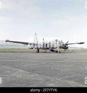 Die Lockheed P2V-7B, P-2H und SP-2H Neptune Maritime Patrol Verguchten 203 (1961-1982) auf der Plattform. Stockfoto