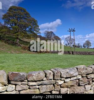 Farmfelder in der Nähe von Castleton an den North Yorkshire Moors Stockfoto