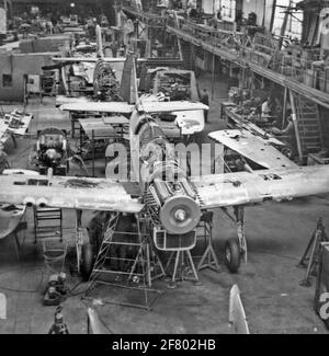 Produktionslinie für den (Lizenz-)Bau von Fairey Firefly FR.MK.IV Jagdflugzeugen / Pfadfindern (1947-1961) des Marine Aastery Service (MLD) in der AvioLanda Flugzeugfabrik um 1950. Verschiedene Flugzeuge für die MLD und die Royal Netherlands Air Force wurden von Aviolaland KLU (Co-Part) gebaut und gewartet. Stockfoto