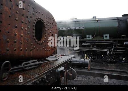 'Duchess of Sutherland' auf dem Schuppen in Butterley. Stockfoto