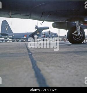 Lockheed P2V-7B, P-2H & SP-2H Neptune Maritime Patrouille Plane, rechts. Nr. 217 (1965-1980) mit anderen Neptunes auf Flykamp Valkenburg. Stockfoto