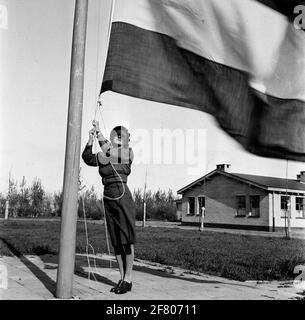 Ein Soldat des Frauenhilfesorps (VHK) streichelt die Flagge in der Prinzessin Julianakamp in Kijkduin. Stockfoto