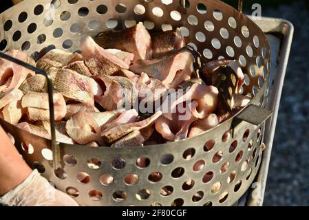 Der traditionelle Fisch kocht mit ganzen Stücken frischen Lake Michigan-Weißfischs, die in den kochenden Topf mit Wasser, Door County, Wisconsin, USA, fallen gelassen werden Stockfoto