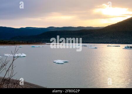 Kleine Eisberge, auch bekannt als Bergy Bits und Growler, schwimmen im Mendenhall Lake in der Nähe von Juneau, Alaska Stockfoto