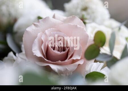 Rose in der Mitte eines Bouquets mit weißen Blüten Umstellen Stockfoto