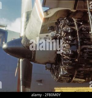 Motor und Propeller eines Lockheed P2V-7B, P-2H & SP-2H Neptune Maritime Patrol Flop (1961-1982). Stockfoto