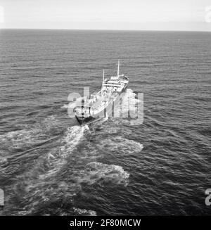 Alarmmeldung Untersuchung und Rettungsdienst. Ein kranker Mann an Bord des griechischen Schiffes Kosmas M. EIN Neptun der Flugzeuggeschwader 320 ist vor Ort, um einem deutschen Rettungshubschrauber zu helfen. Stockfoto