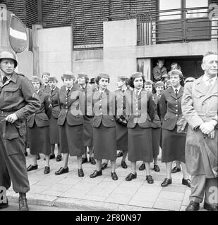 Bei der Eröffnung der Generalstaaten am dritten Dienstag, den 1958. September (Prinsjesdag), auf dem ​​the Korte Vijverberg in Den Haag, wurden Reihen von Soldatinnen angezogen, die der Luftwaffe des Frauenministeriums (Luva) angehören. Stockfoto