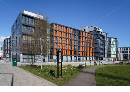 Moderne Entwicklung von Fountainbridge Green am Union Canal, Edinburgh, Schottland Stockfoto