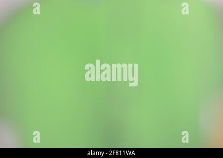 Gradient grünen Hintergrund für Tapeten und grafische Designs, verschwommen abstrakt grün Gradient pastell hellen Hintergrund smart verschwommen Muster. Stockfoto