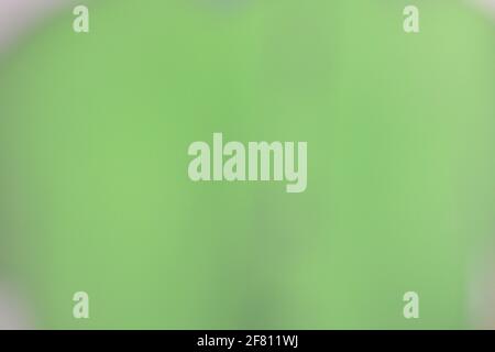 Gradient grünen Hintergrund für Tapeten und grafische Designs, verschwommen abstrakt grün Gradient pastell hellen Hintergrund smart verschwommen Muster. Stockfoto