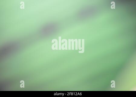 Gradient grünen Hintergrund für Tapeten und grafische Designs, verschwommen abstrakt grün Gradient pastell hellen Hintergrund smart verschwommen Muster. Stockfoto