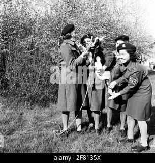 Soldaten von Frauen helfen Korps (VHK) auf dem Foto mit einer Ziege. Stockfoto