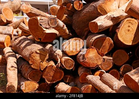 Stapel von Holzstämmen übereinander gestapelt. Stapel Brennholz aus der Nähe Stockfoto