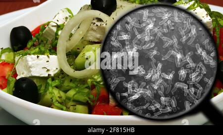 Suche nach Bakterien in Gemüse Stockfoto