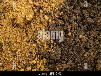 Mischung von zwei Arten von Erde, Erde und Ton. Erdiger koitschew Hintergrund. Landwirtschaft und Umweltprobleme. Abstrakte Textur Stockfoto