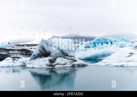 Blick auf Gletscherscherkreuze, die auf einem See auf einem schwimmen Grauer und wolkiger Tag mit Vögeln Stockfoto