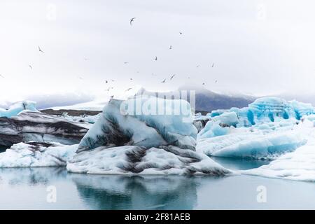 Blick auf Gletscherscherkreuze, die auf einem See auf einem schwimmen Grauer und wolkiger Tag mit Vögeln im Sommer Stockfoto