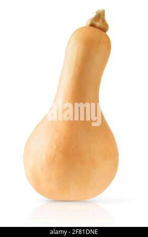 Butternut Squash isoliert mit Beschneidungspfad auf weißem Hintergrund. Stockfoto