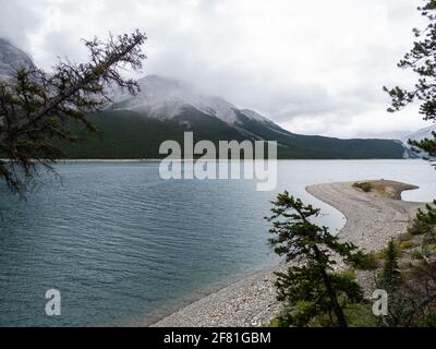 Bergsee an einem windigen grauen Tag mit einem Baum Im Rahmen Stockfoto