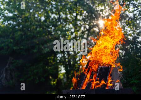 Ein großes Feuer aus Brettern. Feuerholz in einer hellen Flamme. Lagerfeuer auf einem Hintergrund aus Holz und Sonnenstrahlen. Stockfoto