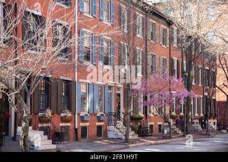 Reihen von braunen Wohngebäuden in Center City mit Fenstern, Stöcken und Pflanzgefäßen in Pennsylvania Stockfoto