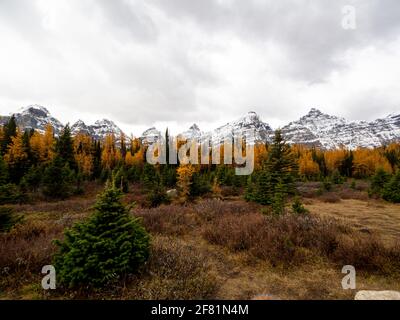 Blick auf eine Peak-Linie hinter Lärchen Stockfoto