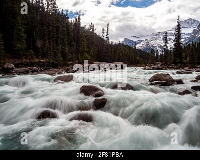 Starkes Wasser fließt den Fluss hinunter in die Berge hinein Sommer mit Kiefern Stockfoto