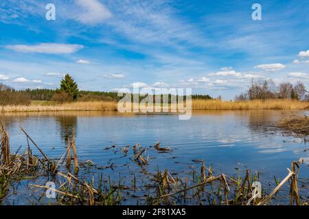 see bruenauteich in der niederösterreichischen Region waldviertel Stockfoto