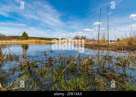 see bruenauteich in der niederösterreichischen Region waldviertel Stockfoto