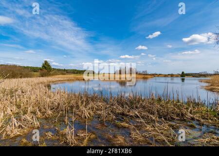 see bruenauteich in der niederösterreichischen Region waldviertel Stockfoto