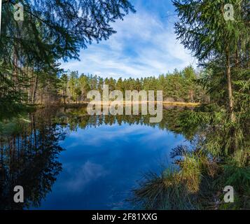 Moorland in der niederösterreichischen Region waldviertel Stockfoto