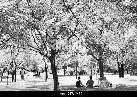 JOHANNESBURG, SÜDAFRIKA - 13. März 2021: Johannesburg, Südafrika - 09 2015. Mai: Diverse Menschen auf einem Outdoor Food and Wine Festival Stockfoto