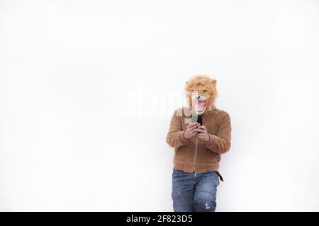 Ein Mann mit einem brüllenden Löwen voller Maske, der seine benutzt Telefon auf weißem Hintergrund isoliert Stockfoto