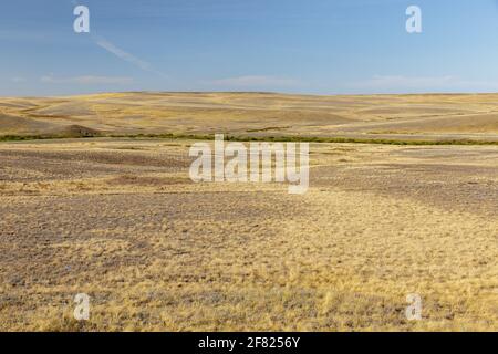 Steppe in Kasachstan. Trockenes Gras in der leeren Steppe. Kasachische Landschaft. Stockfoto