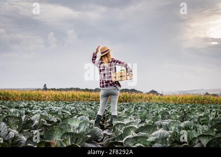 Bauer steht auf dem Kohlfeld. Landwirtschaftliche Tätigkeit und Gartenarbeit während der Erntezeit. Frau mit Strohhut, die Holzkiste hält und lea pflückt Stockfoto