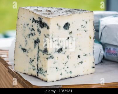 Bio-handwerklicher Blaustelton-Käse auf einem Bauernmarkt. Stockfoto