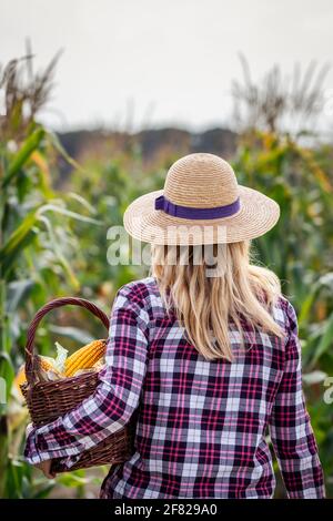 Frau mit Strohhut, die Korbkorb im Maisfeld hält. Food from Farm to Table Konzept mit Landwirt Stockfoto